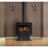 Napoleon Havelock Direct Vent Gas Stove, Natural Gas