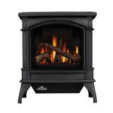 Napoleon Knightsbridge Direct Vent Gas Stove, Metallic Black, Natural Gas