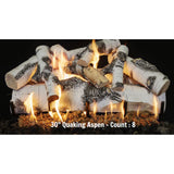 Grand Canyon Quaking Aspen See Through Vented Gas Logs