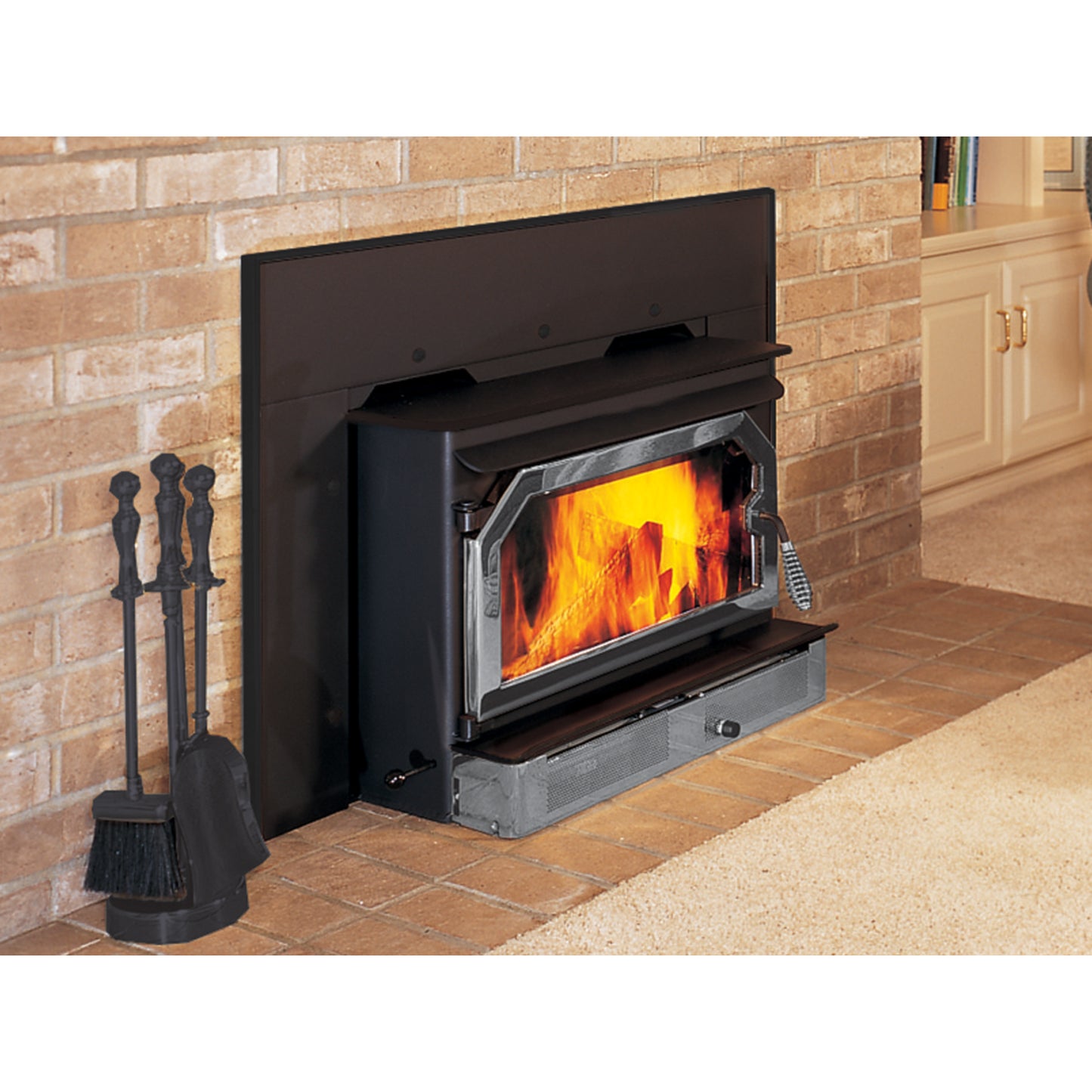 IronStrike Performer C210 Wood-Burning Fireplace Insert