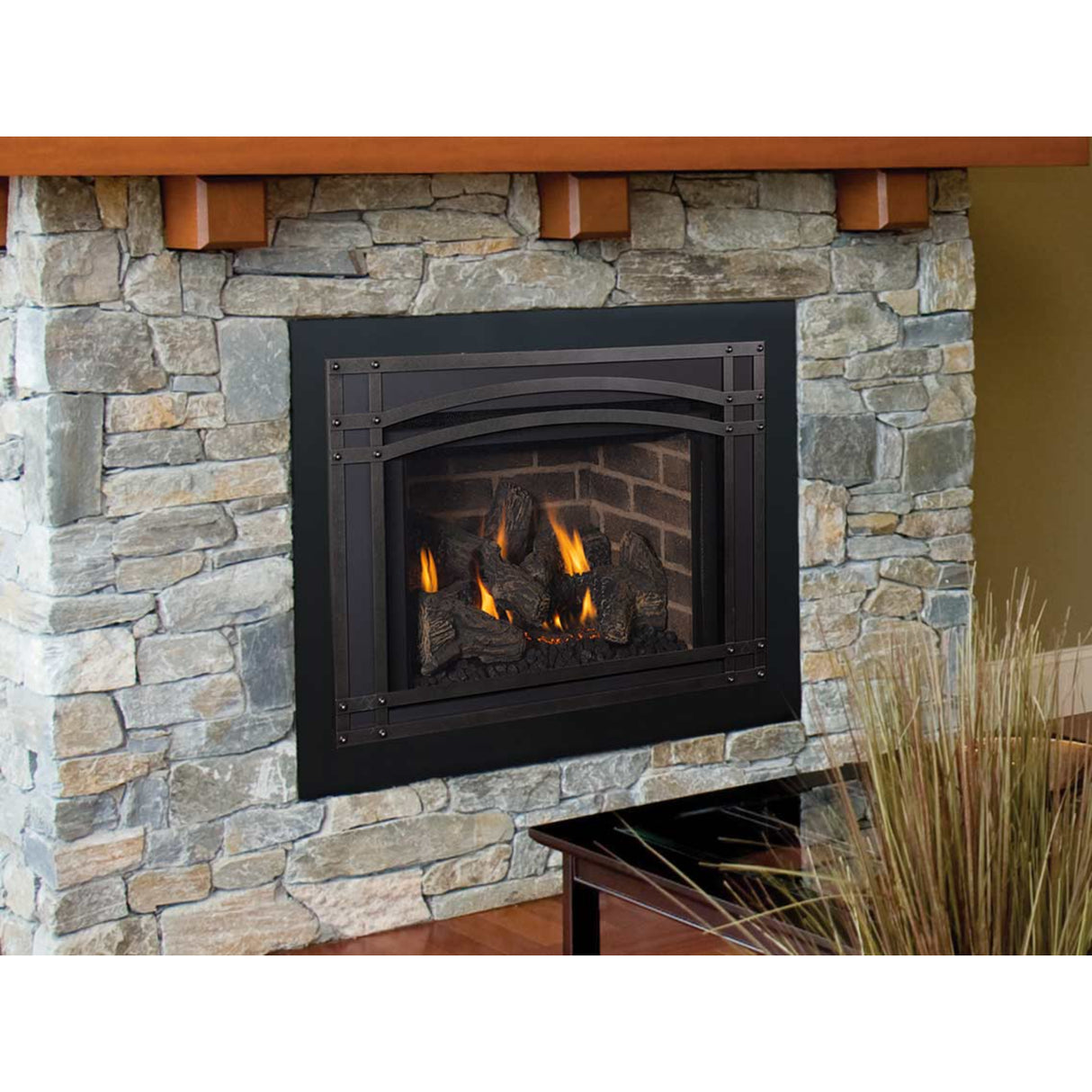 IronStrike Madison Park 27 Direct-Vent Gas Fireplace Inserts