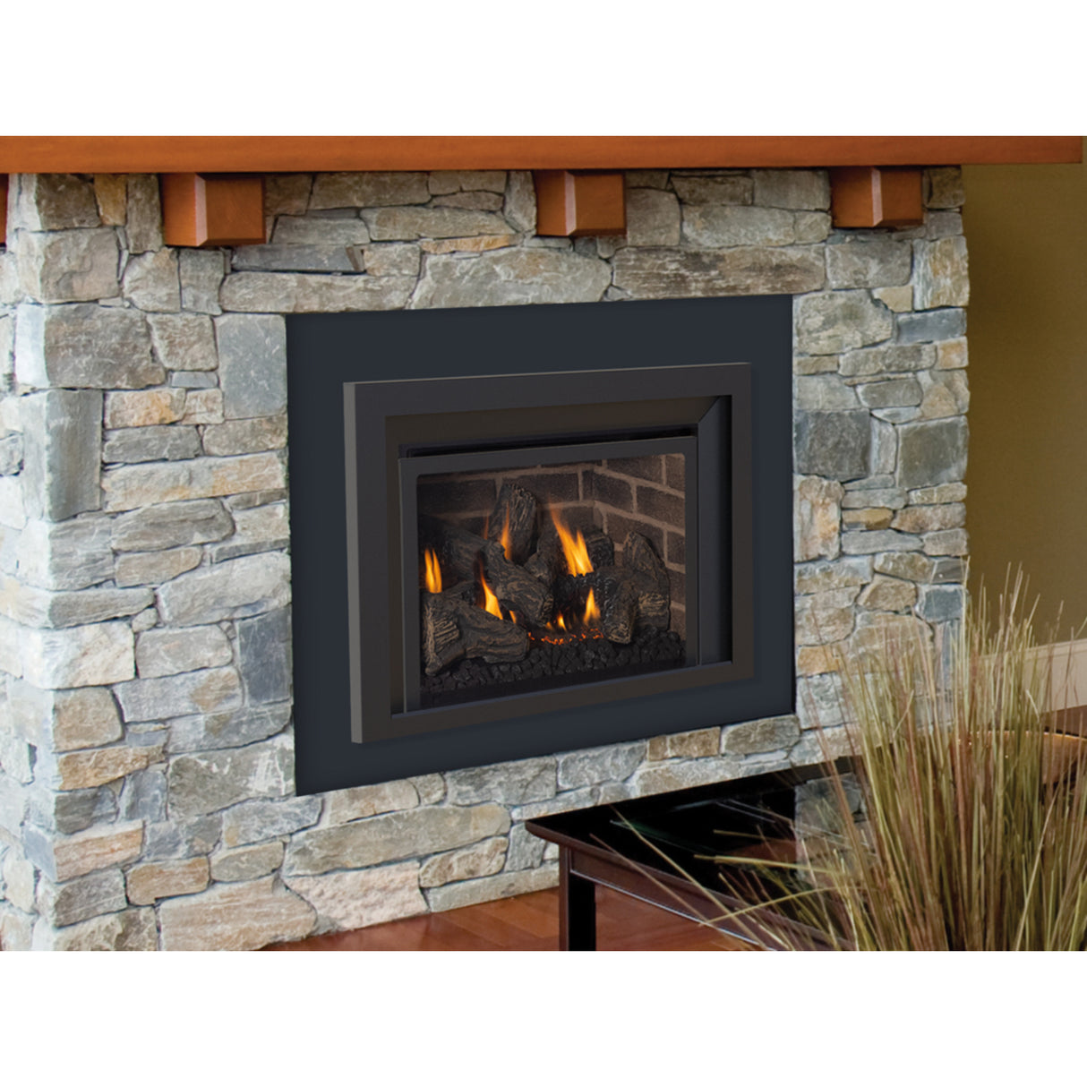 IronStrike Madison Park 27 Direct-Vent Gas Fireplace Inserts