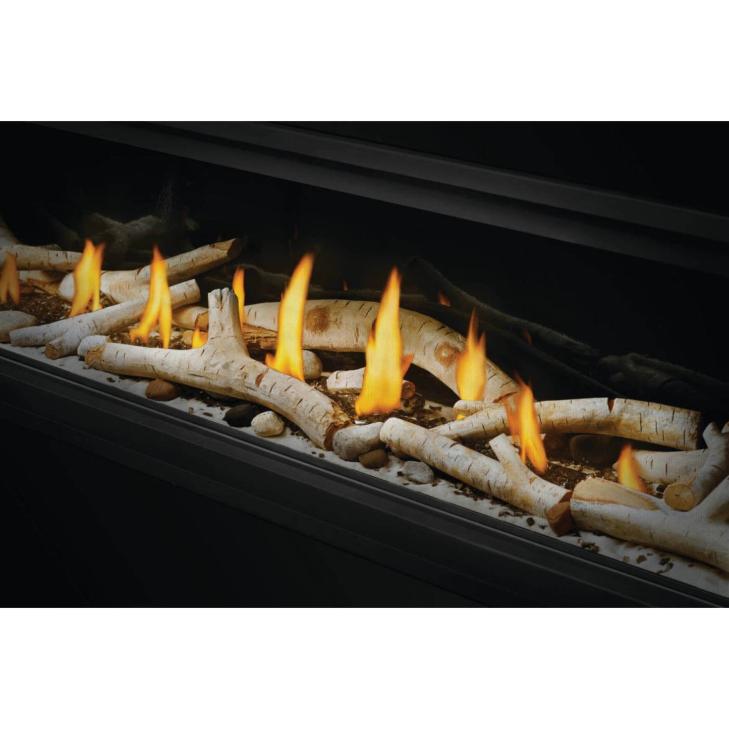 Napoleon Vector 50'' Single Sided, Direct Vent Gas Fireplace, Electronic Ignition, Natural Gas