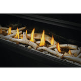 Napoleon Vector 50'' Single Sided, Direct Vent Gas Fireplace, Electronic Ignition, Natural Gas