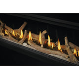 Napoleon Vector 62'' Single Sided, Direct Vent Gas Fireplace, Electronic Ignition, Natural Gas