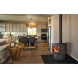 Napoleon S Series S20 Wood Stove