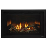 Heat & Glo Cosmo Insert Medium 30" Contemporary Direct Vent Gas Fireplace