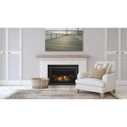 Heat & Glo Cosmo Insert Medium 30" Contemporary Direct Vent Gas Fireplace