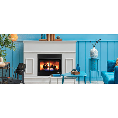 Buck Stove Model 42ZCBB Vent Free Builder Series Gas Firebox